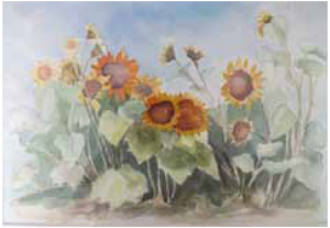 watercolor of Sunflowers © Barbara Hochberg